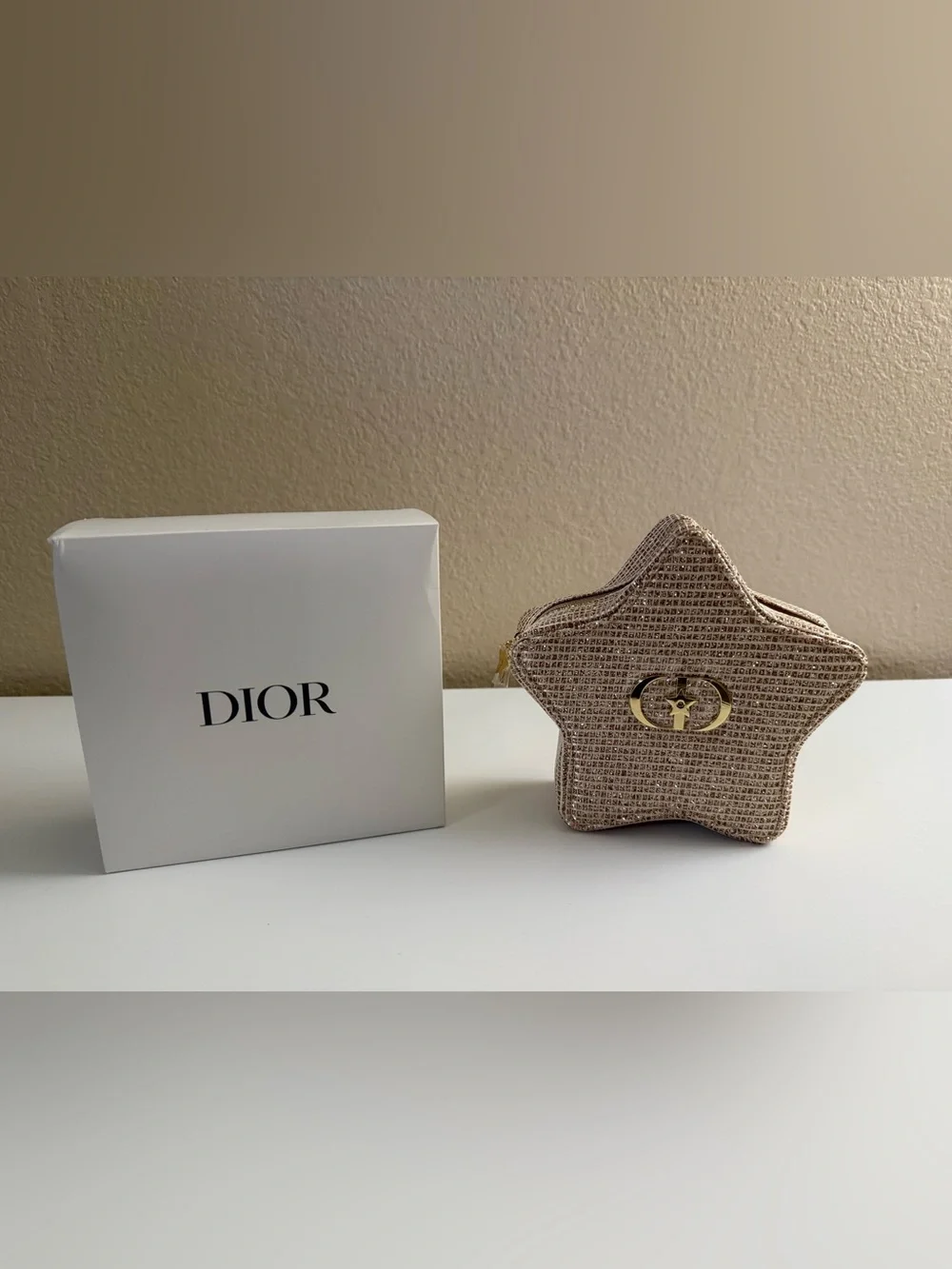 Dior Pouch